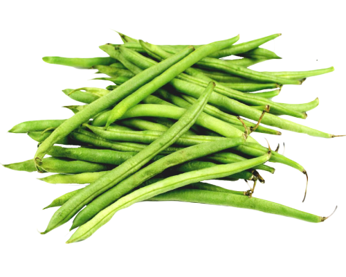 Fine-bean